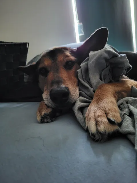 I woke up, those are my work clothes he's holding and he knows it.