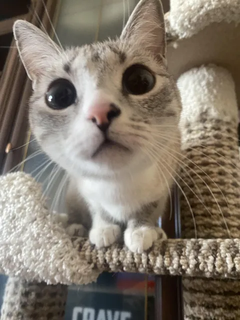 she woke me up at 4 am because today is her birthday