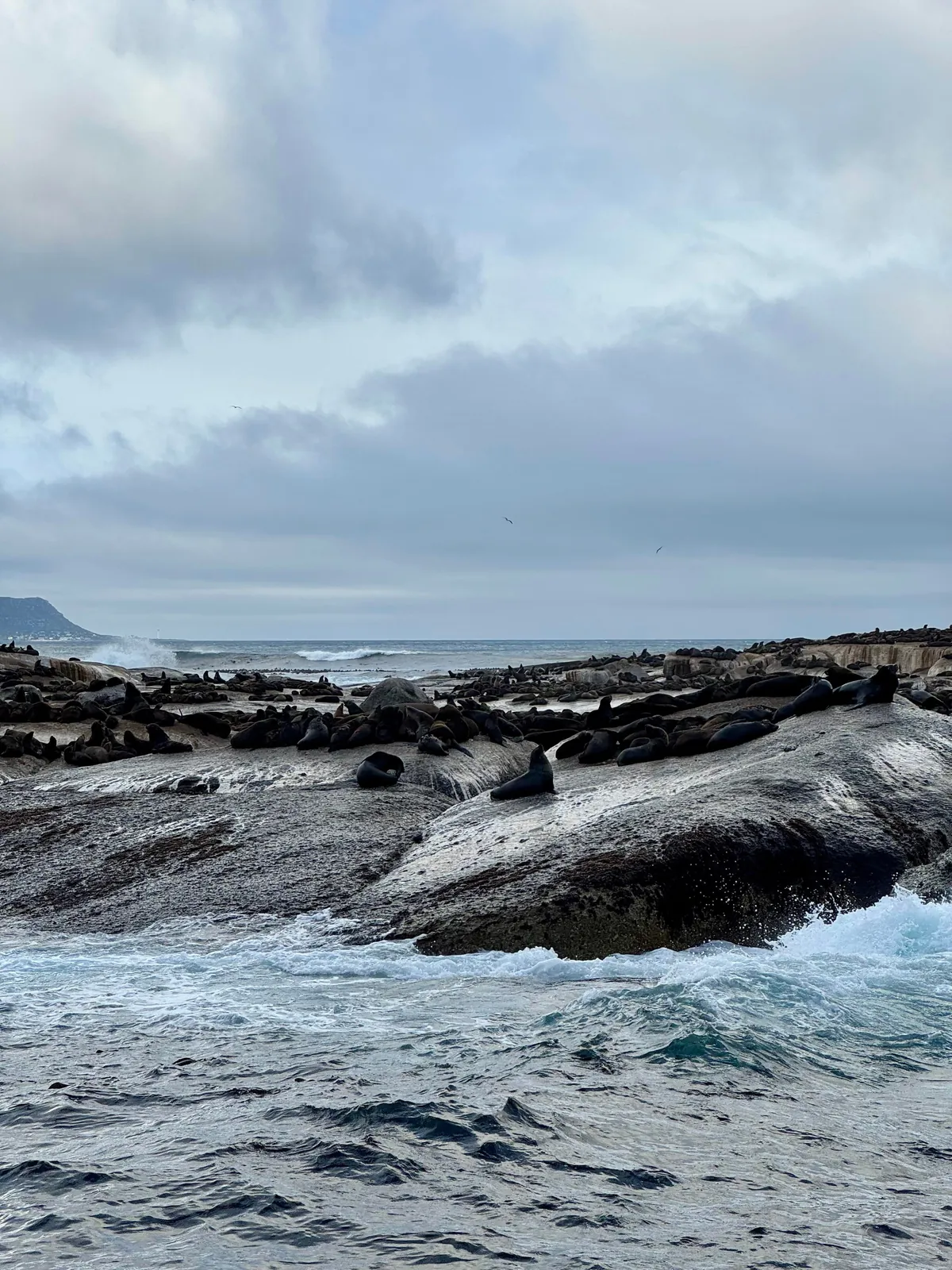 Cape Town is my favorite new city!