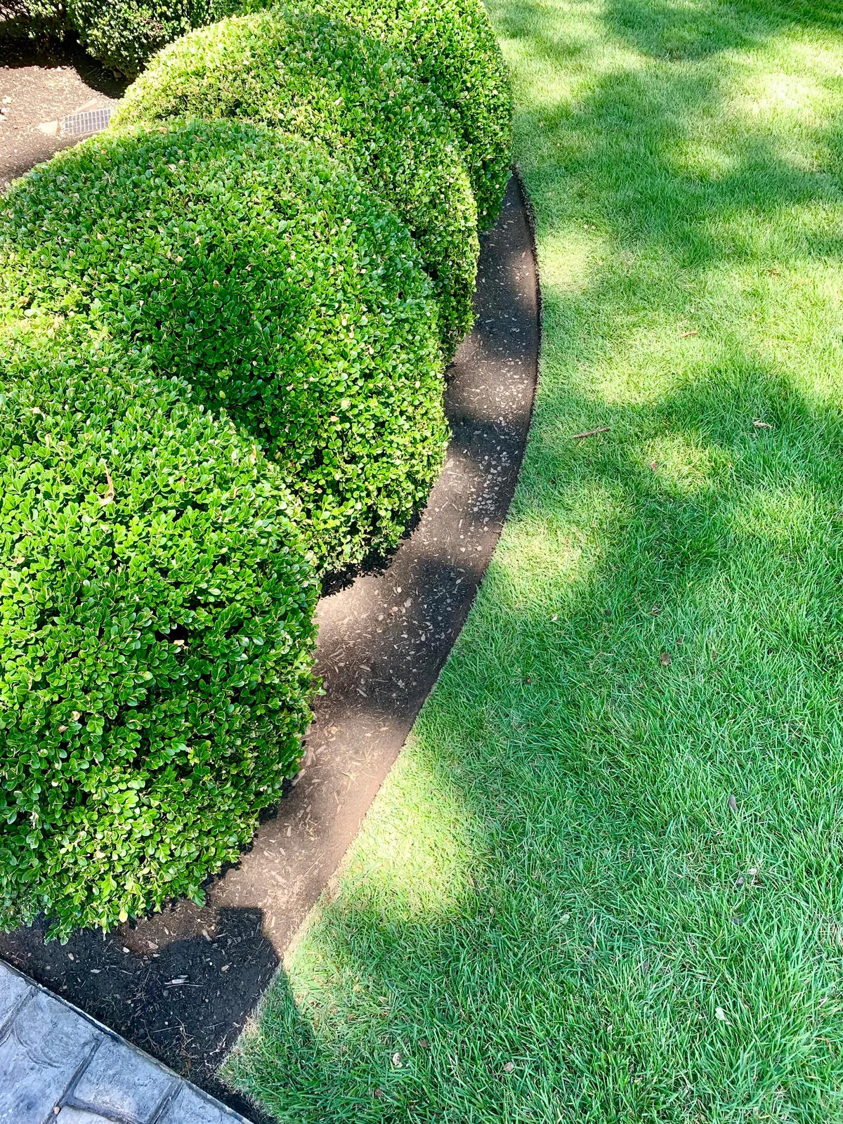 I was really proud of my edge today