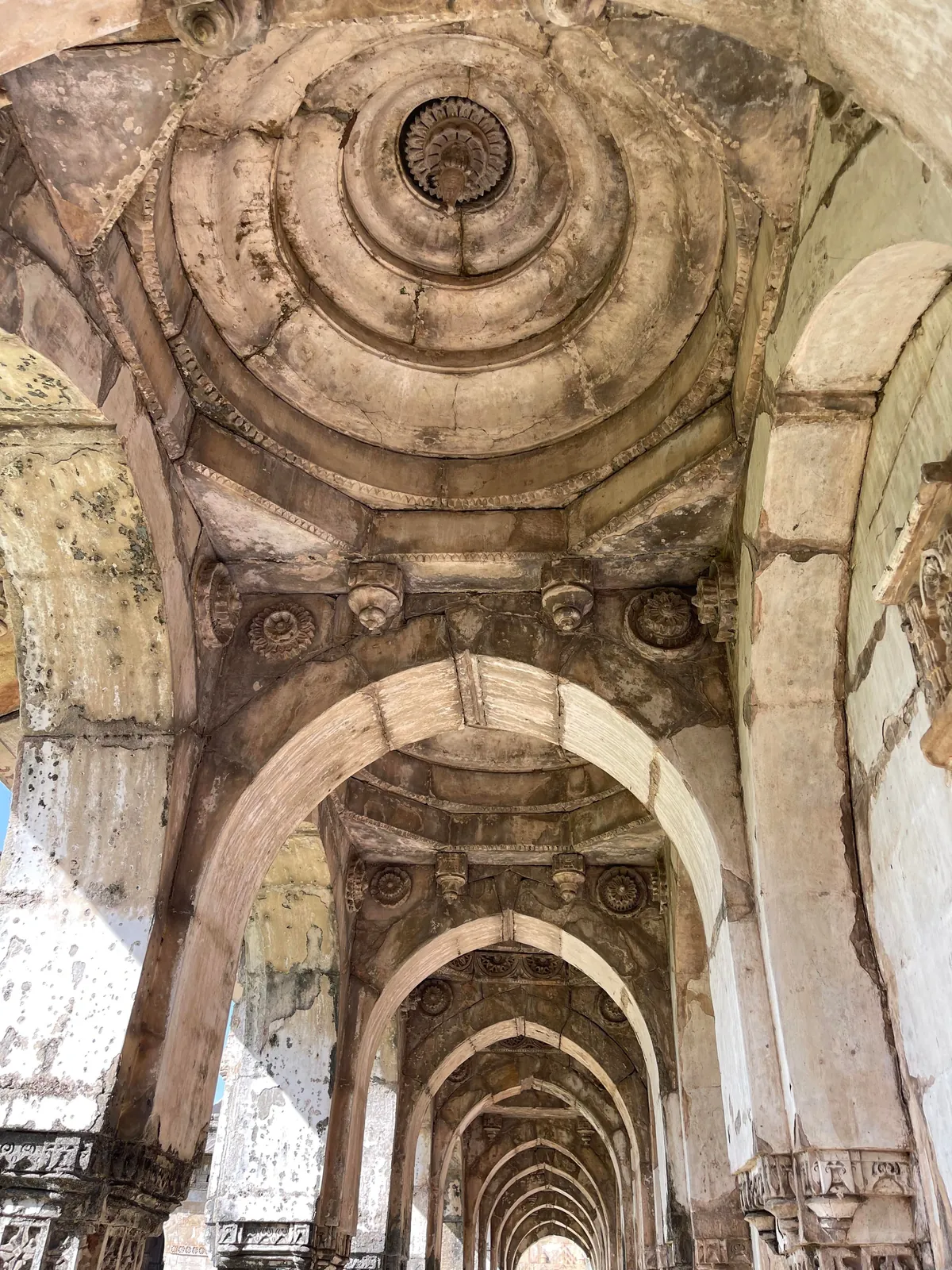 10 days in India. My first international trip!