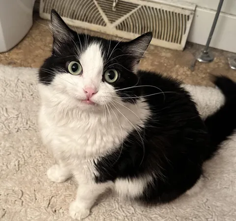 Cathew being his awkward self