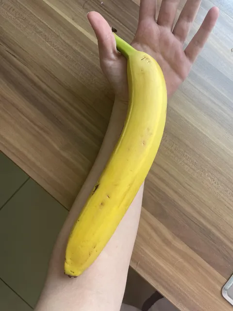 This banana is longer than my forearm