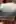 Torpedo reveal