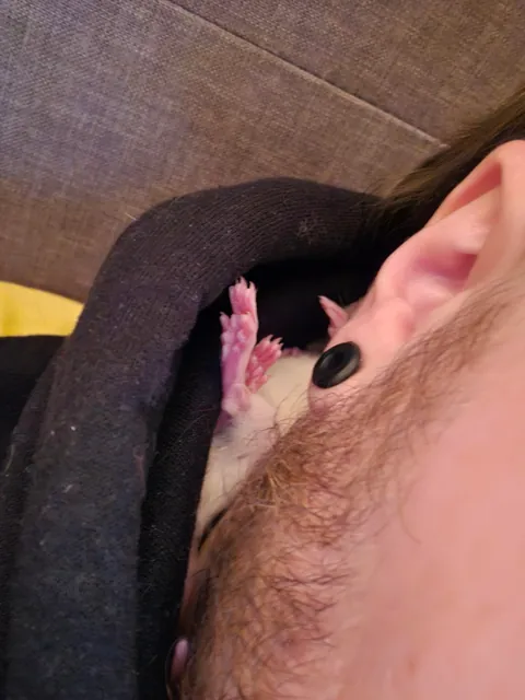 I literally met this man a day and a half ago