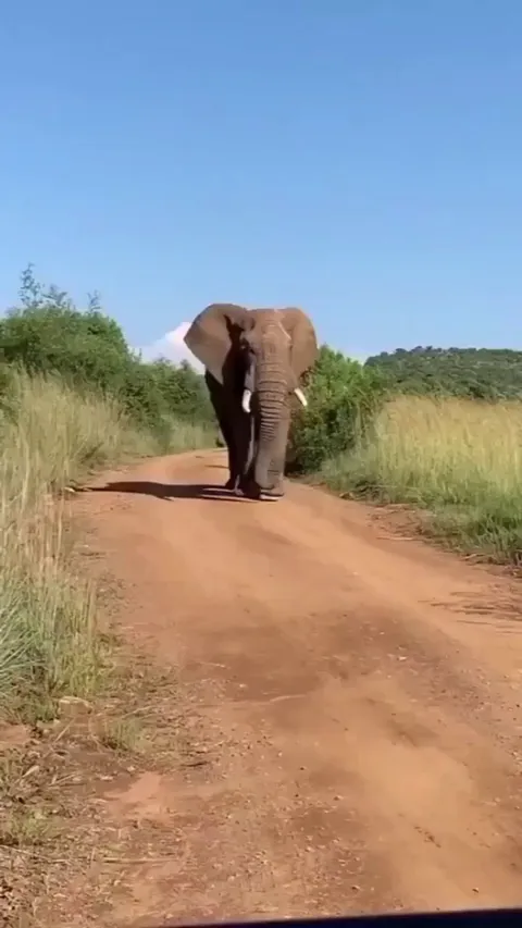 He looks so happy ❤️