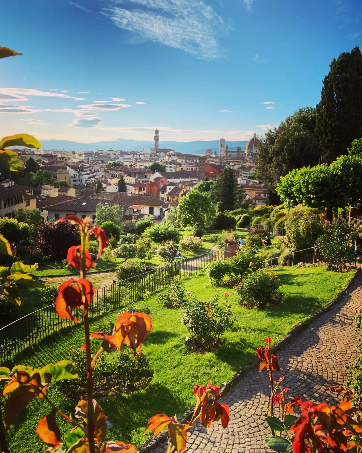 First time in Florence~ this was a Rose Garden, halfway up to Piazelle Michelangelo to watch the sunset. Simply amazing.