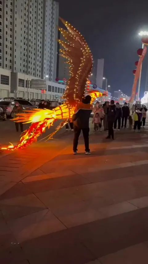 rc phoenix in China