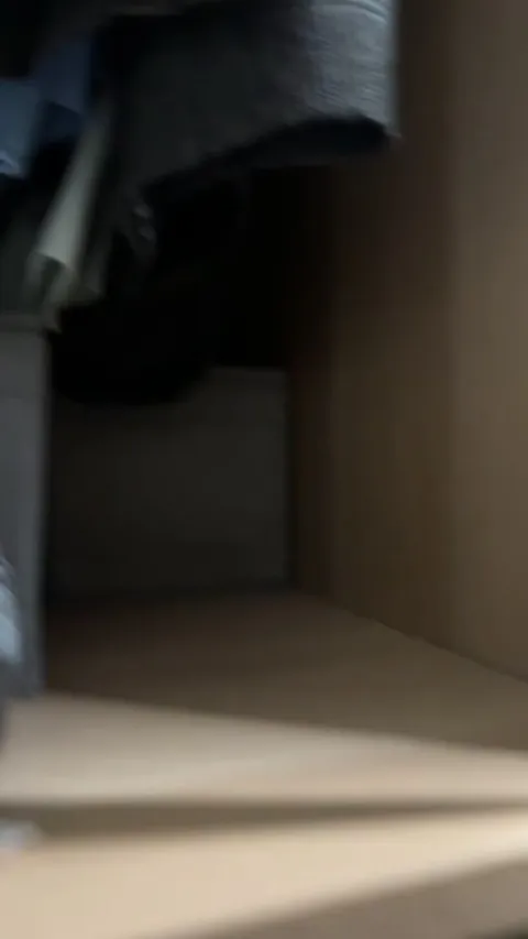 Forgot that I can’t leave the wardrobe door open with this menace