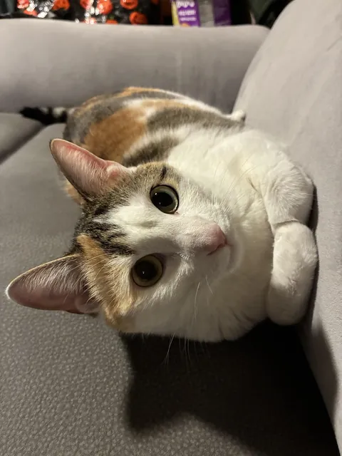 Ever seen a sideways loaf?