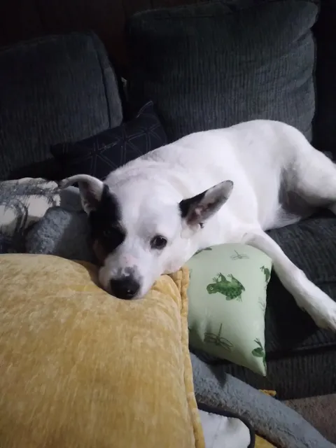 Jenny is a precious baby