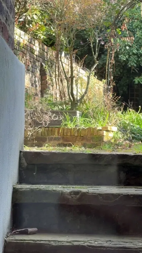 Had a visitor in my Garden!