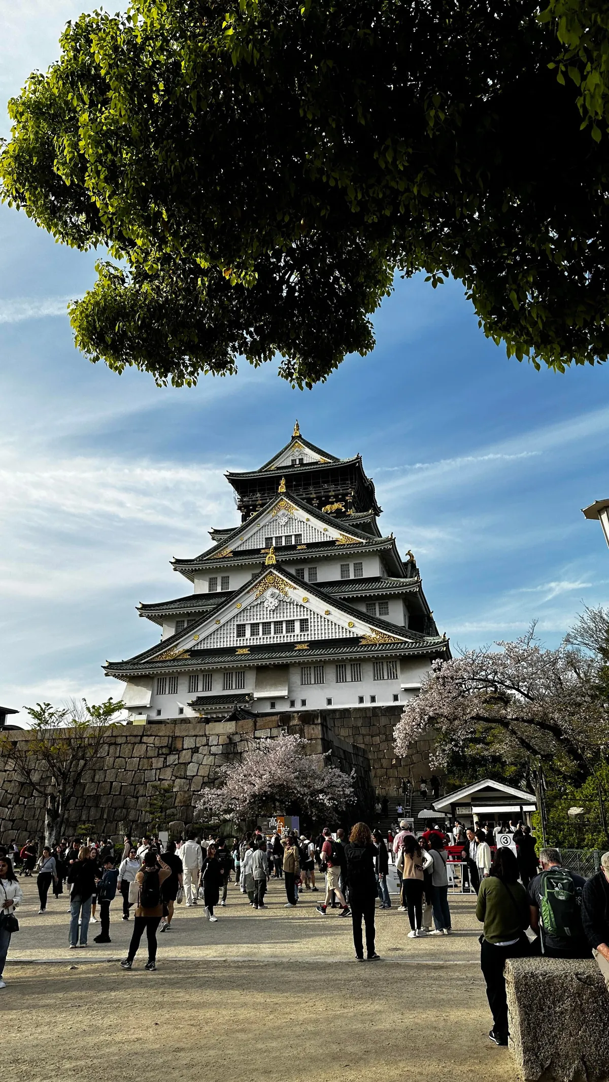 Japan 🇯🇵 is unreal