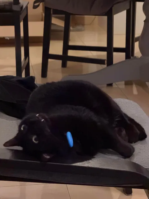 I’m Mona (cute in Spanish)