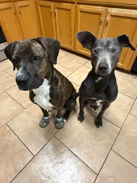 My momma says that I’m the babiest of all the baby boys.