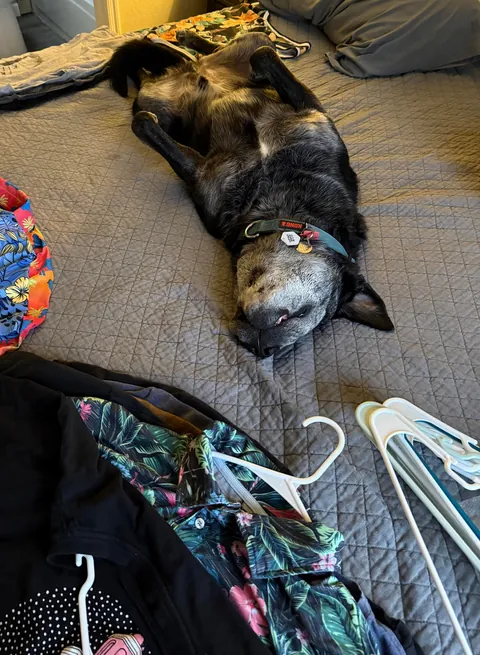 Coal’s Phases of Folding Laundry