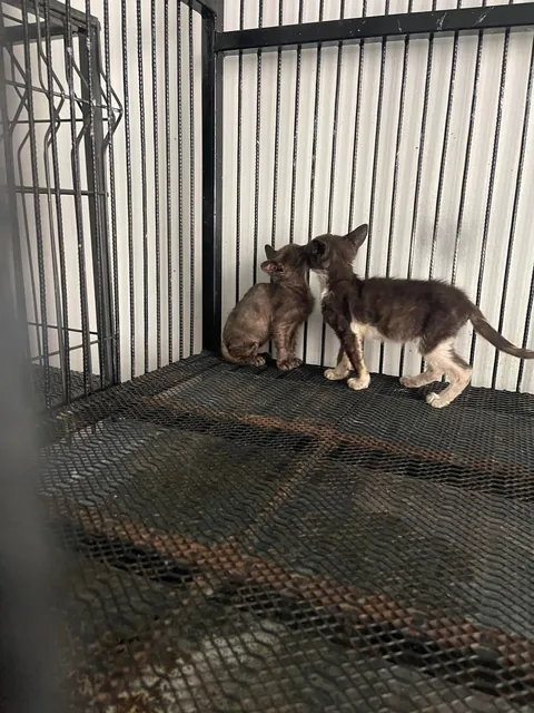 How it started vs how it’s going