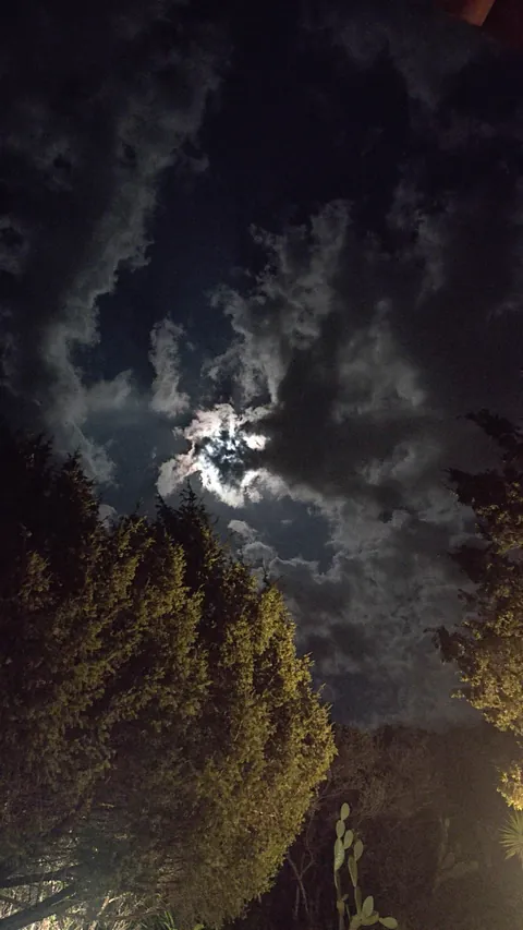 This photo of the full moon looks like europe