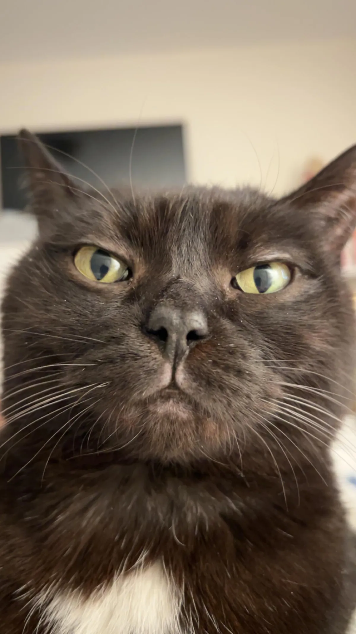 The First thing I see when I wake up