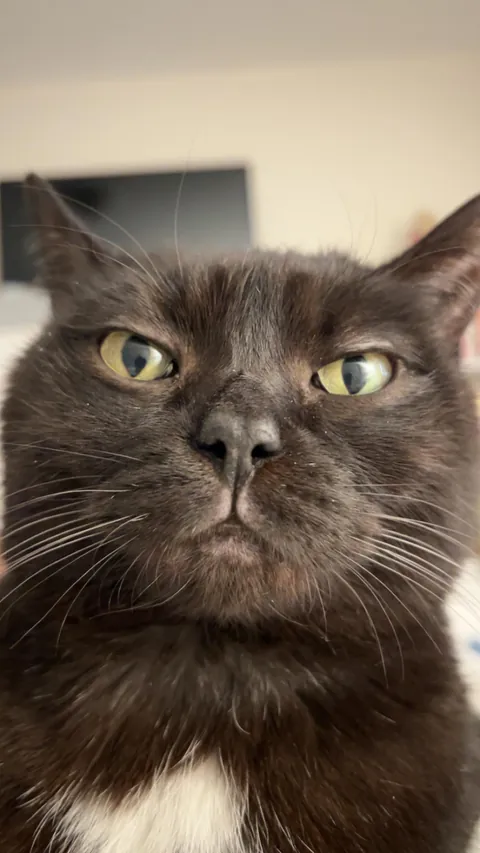 The First thing I see when I wake up