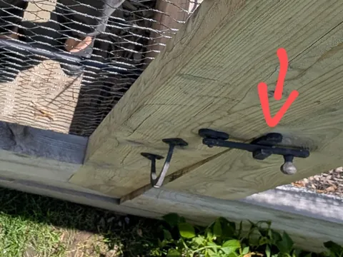 Caged bed garden, prison?