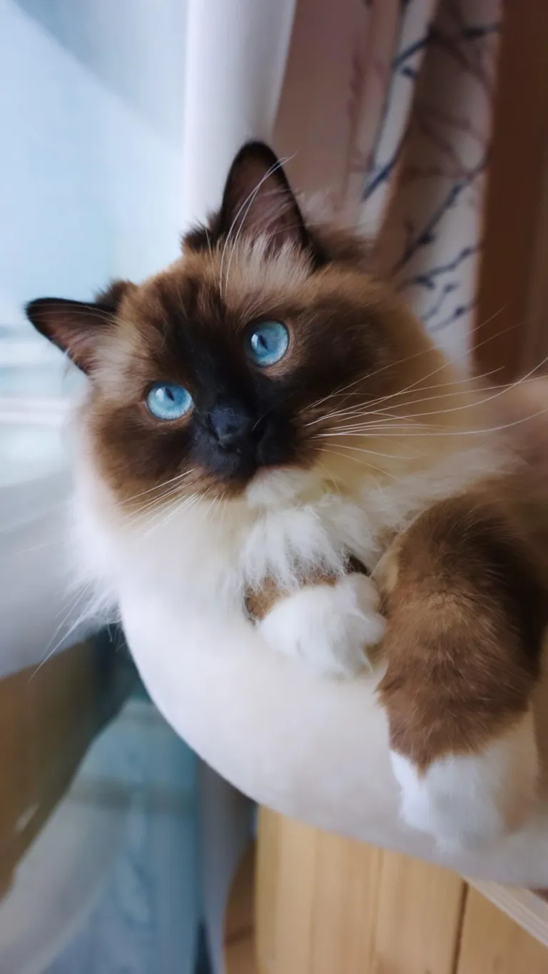 I can’t believe she’s mine!!