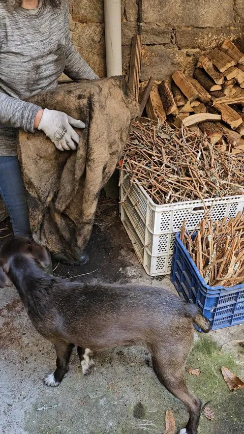 Spain Bread Oven UPDATE