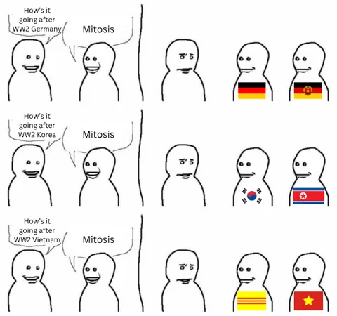 Only the Koreas remain divided today