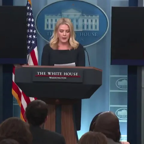 WH Press Secretary Karoline Leavitt mocks Kilmar Abrego Garcia: “You would think we deported a candidate for Father of the year."