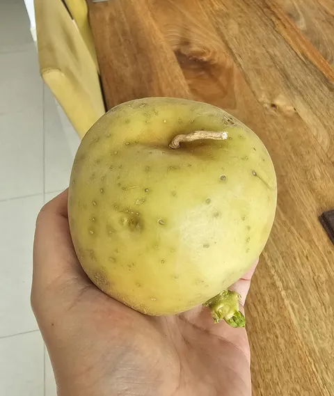 My potato looks just like an apple