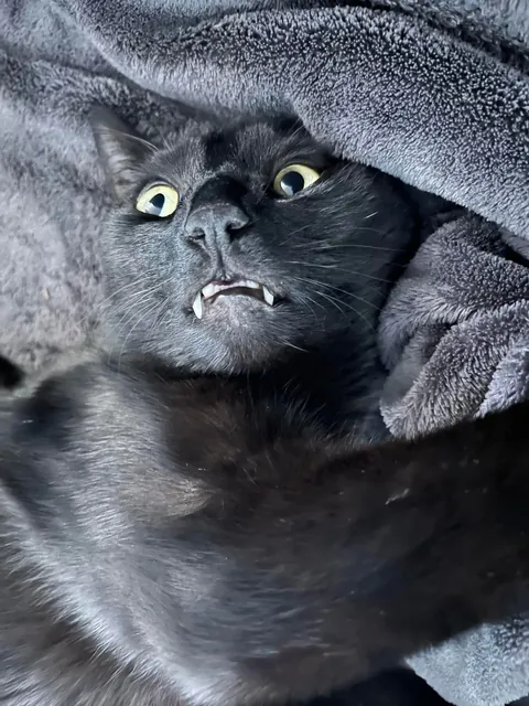 Please show me the day you got your void! (And them now!)