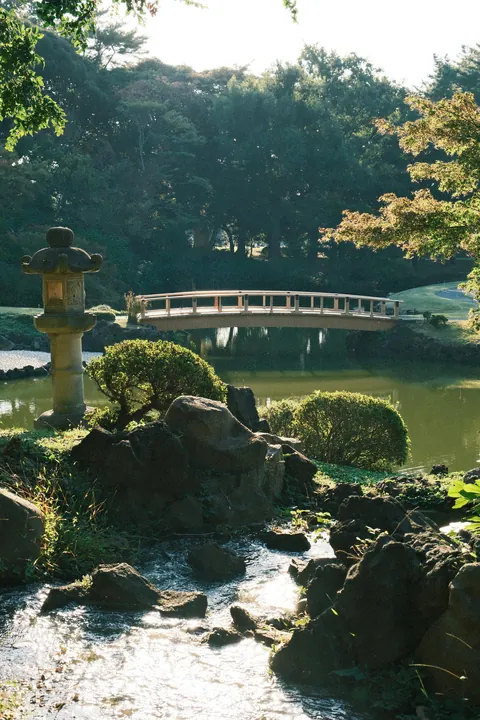 Our First 4 Days in Tokyo 🇯🇵