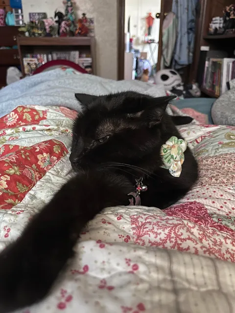 just wanted to share my 17 yr old boy today💜