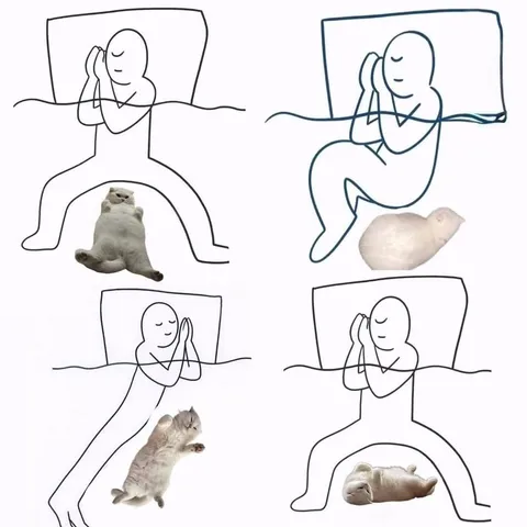 All of us every night.