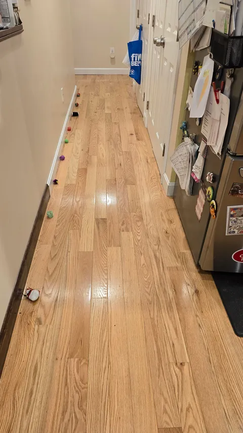 Why did my cat line up her toys