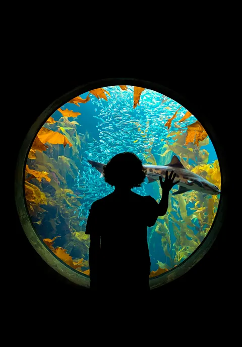 A photo I took of my friend while shooting in the Monterey Bay Aquarium [Exposure] [Composition]