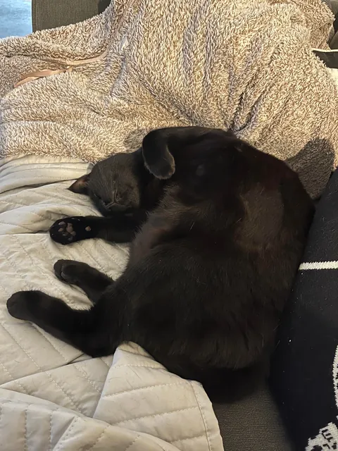 Being a void is exhausting