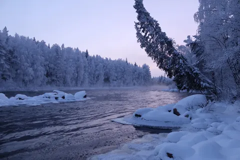 Vaattunkijoki River, Vikaköngäs, Finland [OC][5472x3648]
