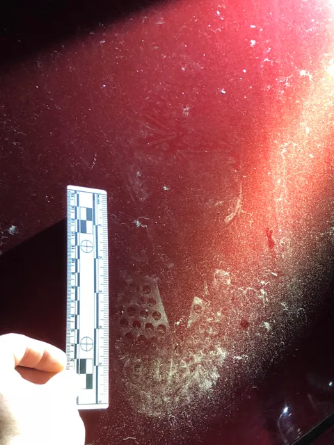 Can anyone ID this shoeprint? Long shot, I know. Woke up to smashed windshield.