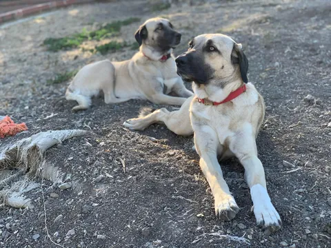 My photogenic duo