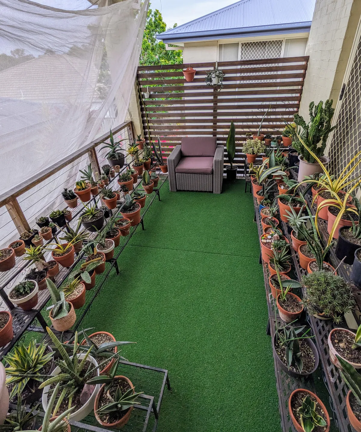 My balcony garden in Brisbane, Australia.