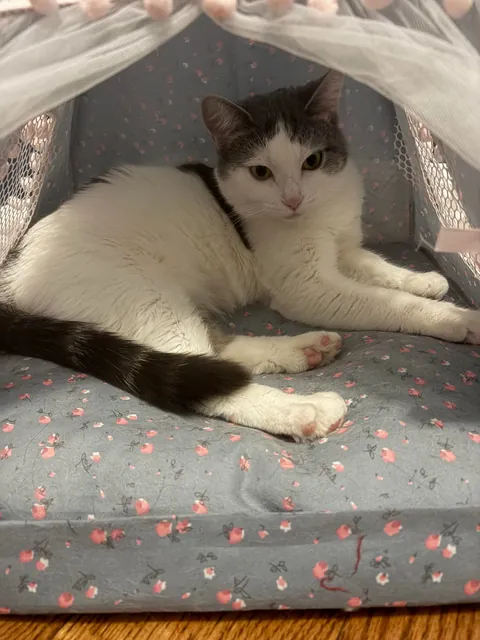 Currently unavailable—she’s in her tent. ⛺️