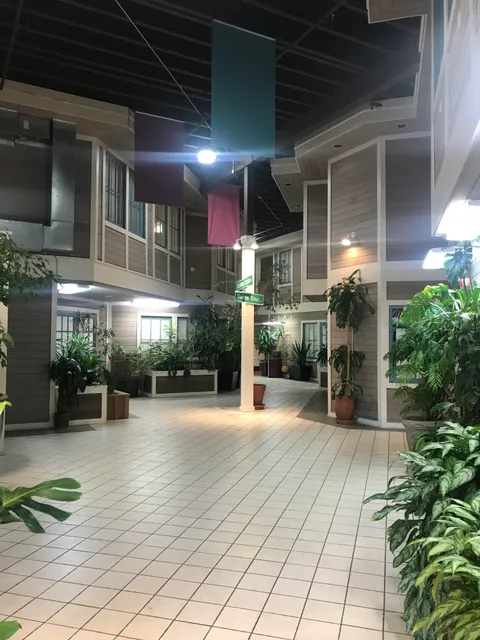 Office building that's inside.... But looks like it's outside.