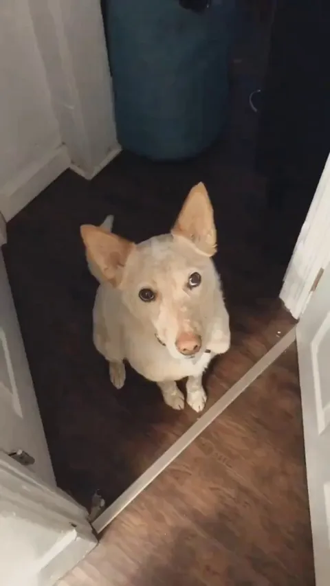 It’s all in the eyes 