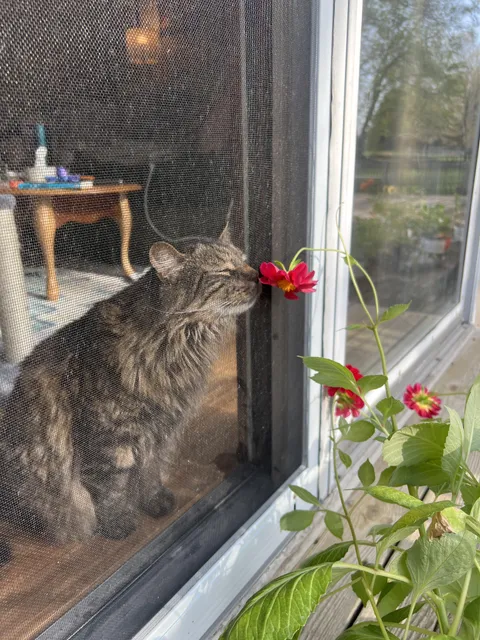 safely smelling the flowers 🥰