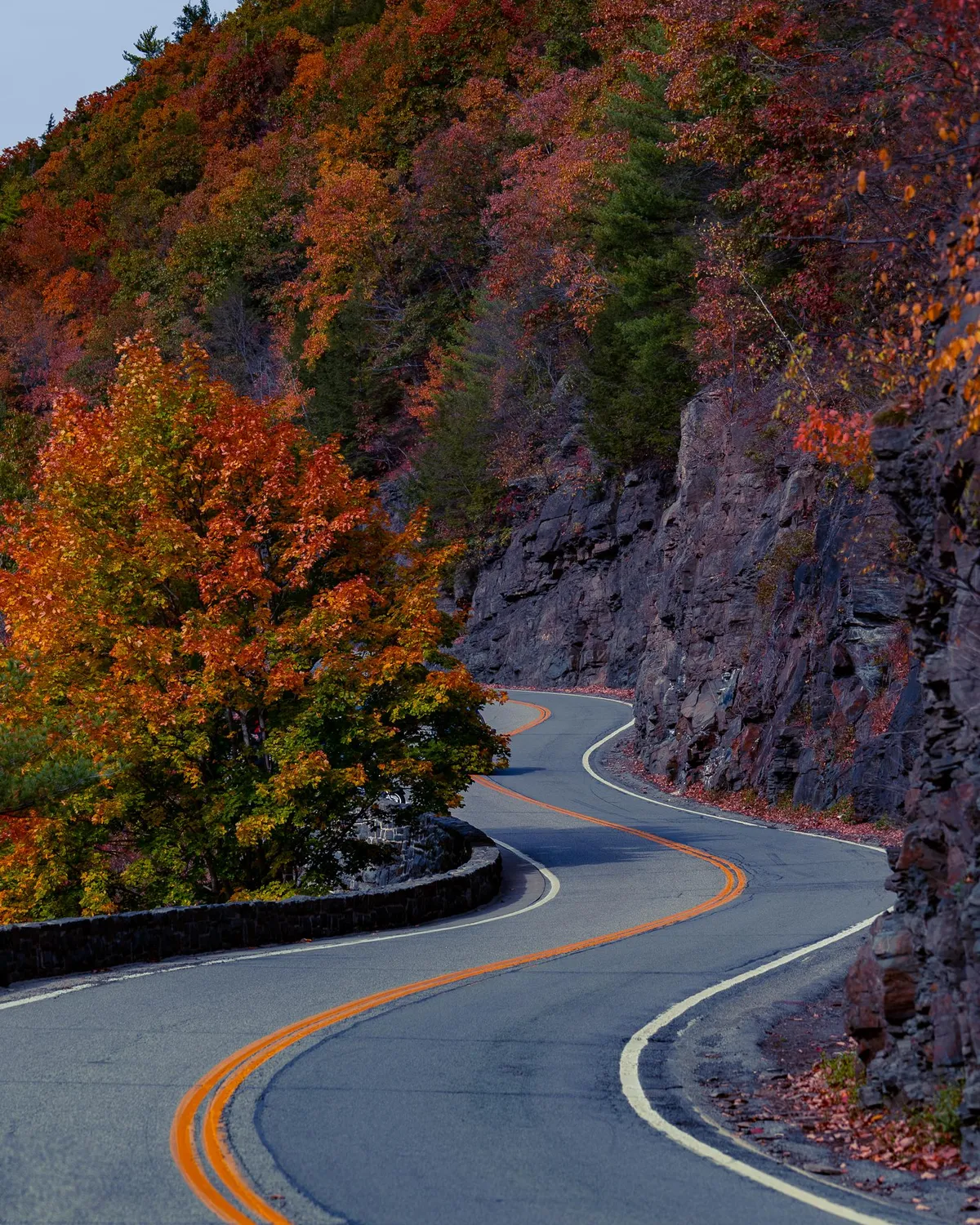 Winding Road / upstate NY fall foliage