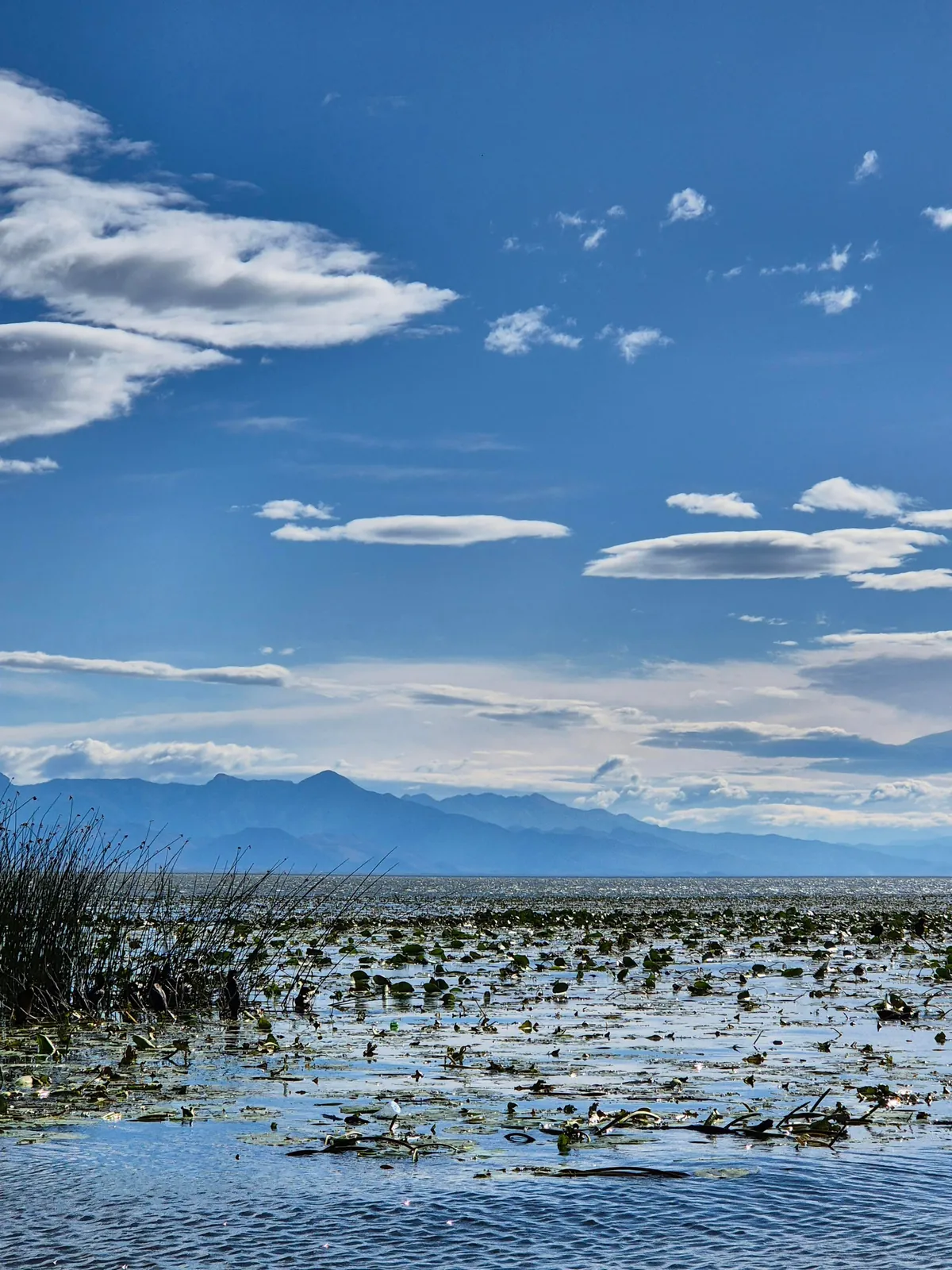 Trip Report: Serbia, Bosnia, and Montenegro