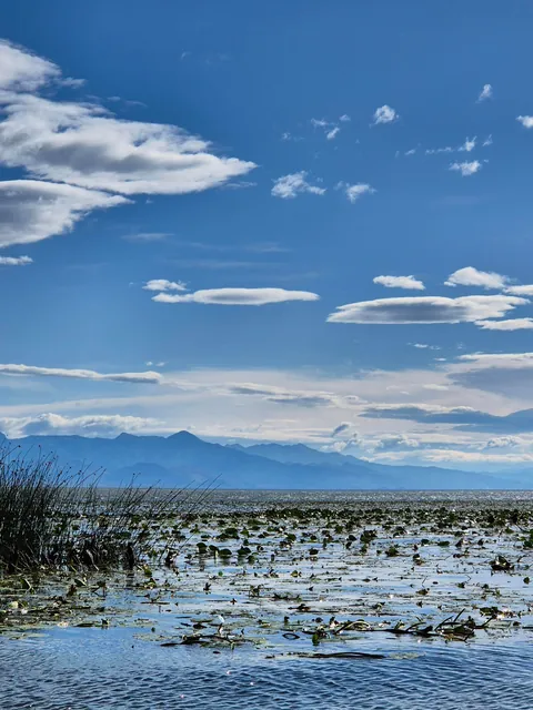 Trip Report: Serbia, Bosnia, and Montenegro