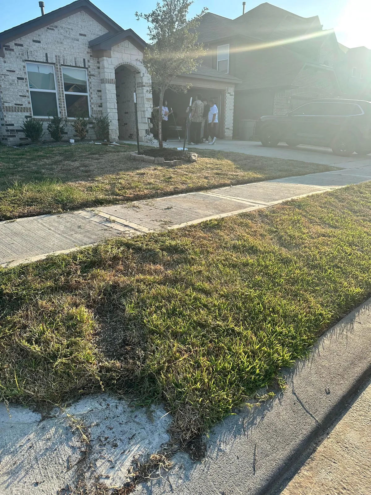 Our Neighbor Accidentally Drove Straight Into Our House