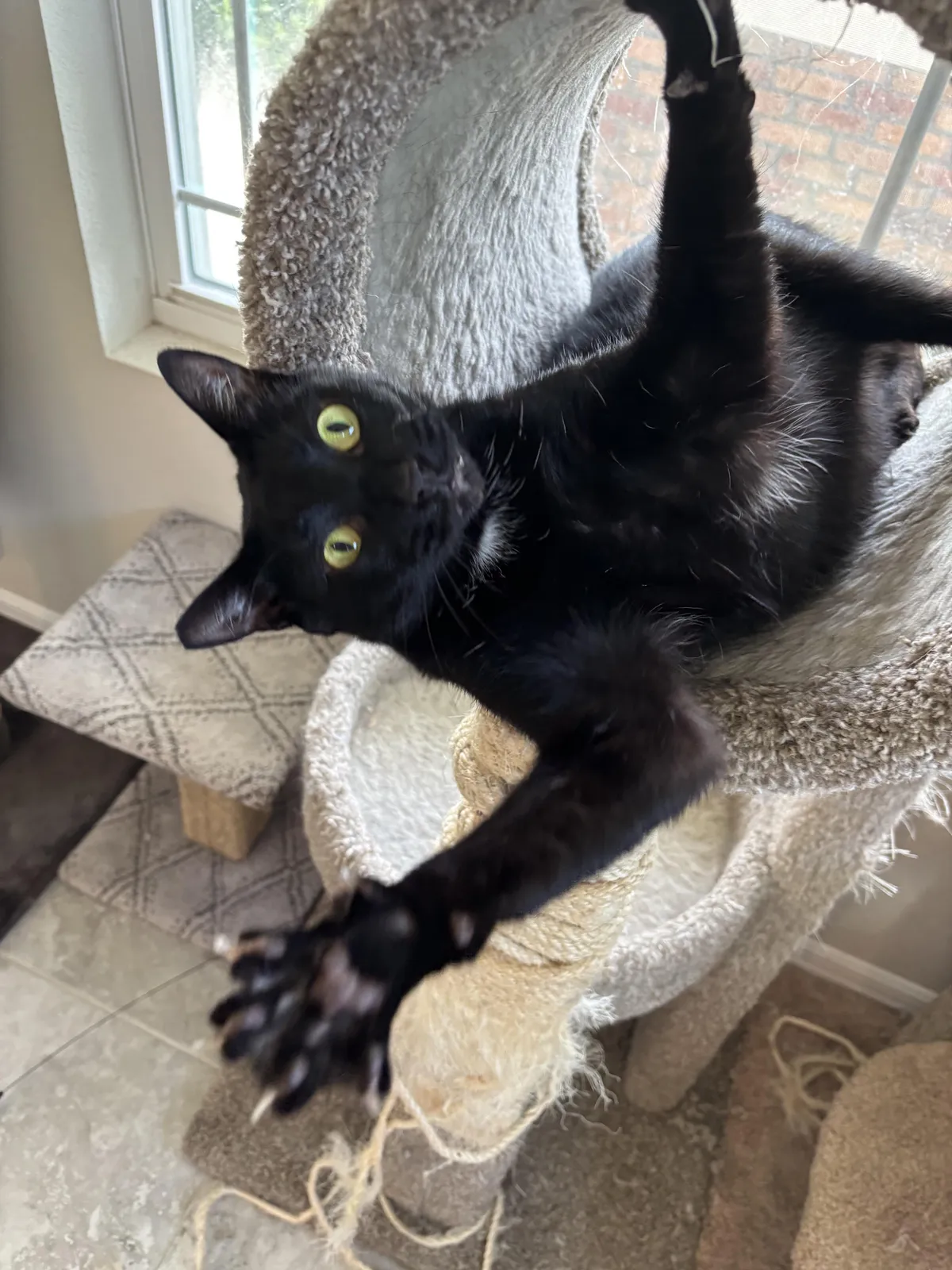 I caught the perfect moment